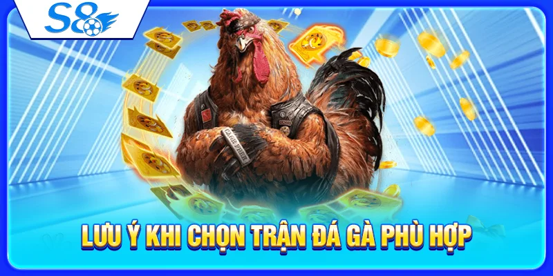 Sảnh Đá Gà S8 – Tổng Quan Trận Đấu Và Cách Theo Dõi Kèo 4 Lưu ý khi chọn trận đá gà phù hợp