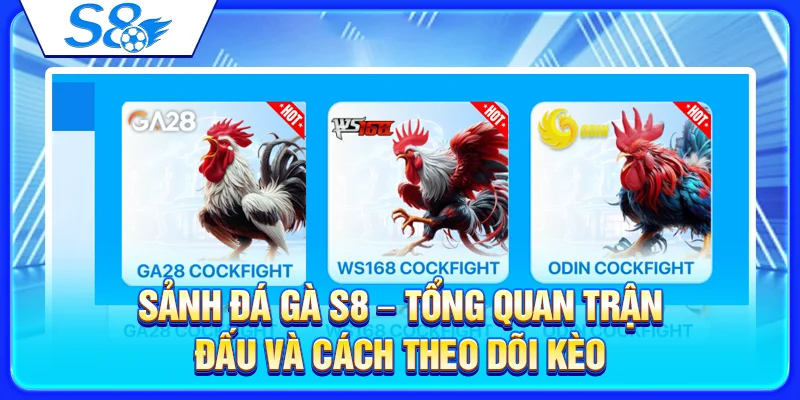 Sảnh Đá Gà S8 – Tổng Quan Trận Đấu Và Cách Theo Dõi Kèo 9 Sảnh Đá Gà S8 – Tổng Quan Trận Đấu Và Cách Theo Dõi Kèo