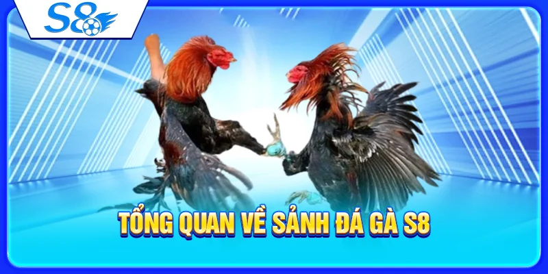Sảnh Đá Gà S8 – Tổng Quan Trận Đấu Và Cách Theo Dõi Kèo 2 Tổng quan về sảnh đá gà S8